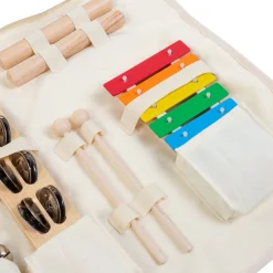 Ensemble de 8 instruments de musique + organisateur