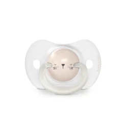 Lot de 2 sucettes phosphorescentes SX Pro 0/6M Night&Day